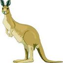 Joaquim Duarte - @Cangura_ - Twitter