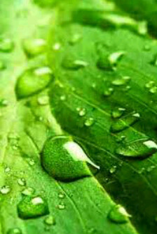 YaiFre's profile picture. Feliz y enamorada de mi familia...