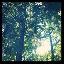 Keith Byrd - @keithhbyrd - Twitter