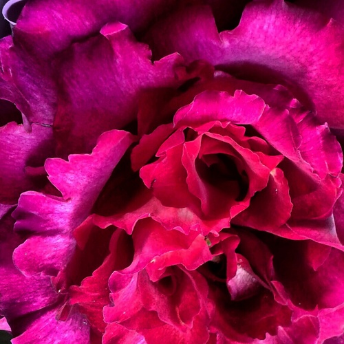 Albablnc's profile picture. 