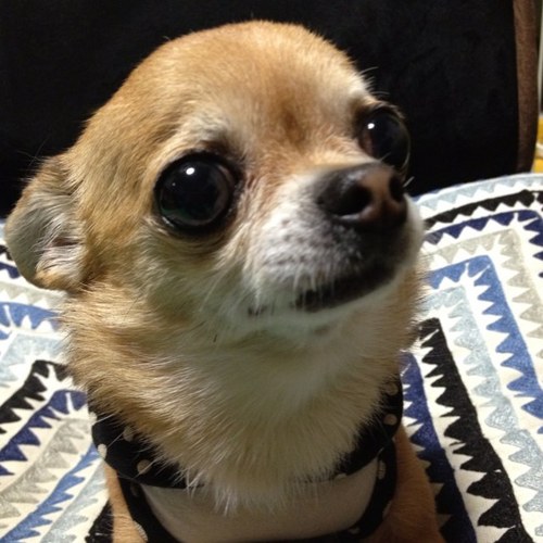 宮本尚美 Naomi0219 تويتر