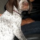 Steve Atkins - @SteveDoggyDog - Twitter