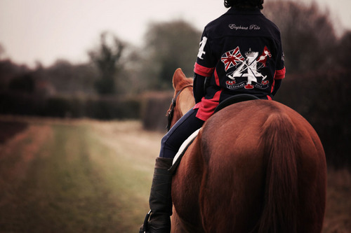 SueAbbottEP's profile picture. Creating beautiful images of you and your horse