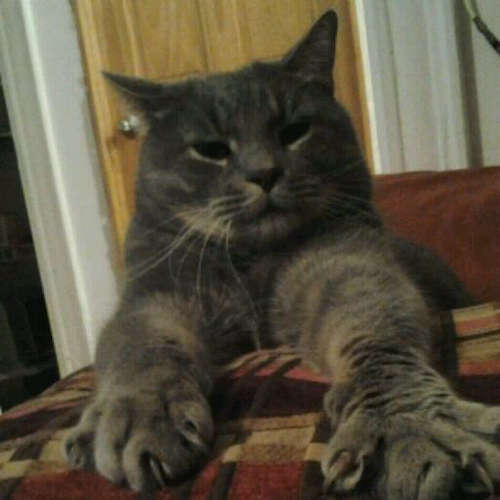 windowsrefund's profile picture. 