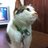 gongildang's profile image