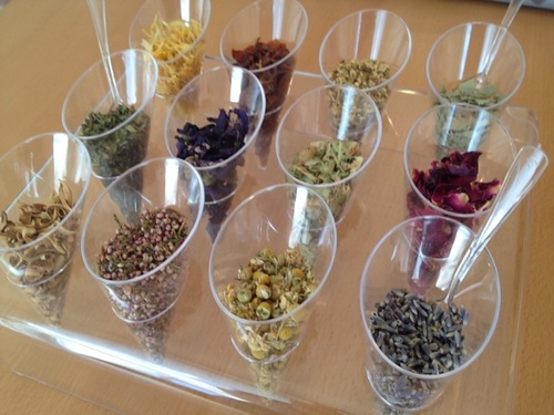 herbal_therapy's profile picture. ハーブの色と香りからあなたの心と身体の状態を推測し、オススメのハーバルライフを提案します(*^^*)ハーブティーをご自宅やお友達と一緒に楽しんでより豊かで楽しい生活をサポートします。ここではイベント、セラピスト情報etcを提供させて戴きます。宜しくお願い致します。