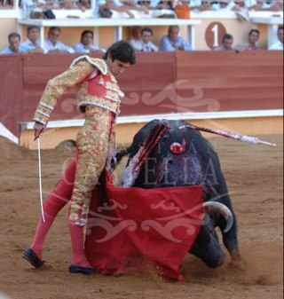 Cuenta No oficial de Sebastian Castella , creada para los Castellistas del twitter ! Esperando algun dia sea oficial la cuenta