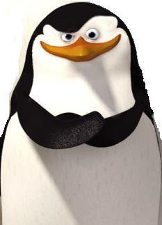 littlebeeper's profile picture. In vino veritas in aqua sanitas