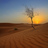 musaedalharbi1's profile image
