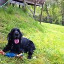 Anne tobin - @sick59 - Twitter