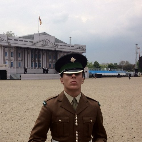 stedoylee's profile picture. 