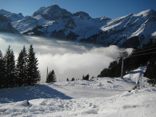 SummerBeePro's profile picture. producer of 'The Sky Is On Fire' and 'Island Girl' by Aleksandra Kwasniewska and the Belgian Sweets