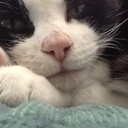 Neil Smart - @FinneganSmart - Twitter