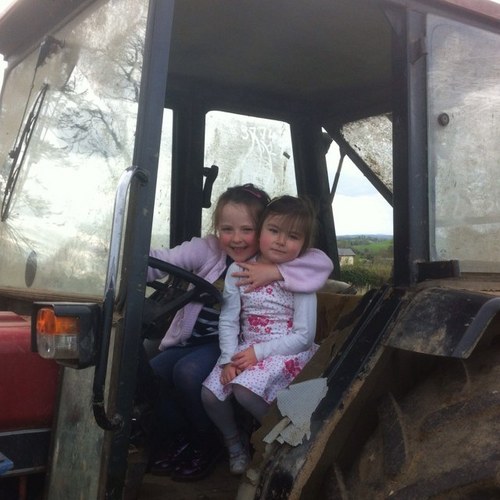 allanpdardis's profile picture. 