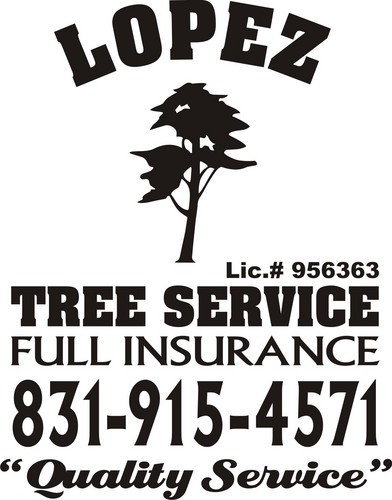 Professional Tree Service company that has been making homes beautiful on the Monterey Peninsula for nearly 40 years!