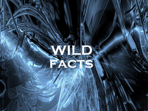 WildFacts_'s profile picture. Providing you with your daily dose of fun facts!