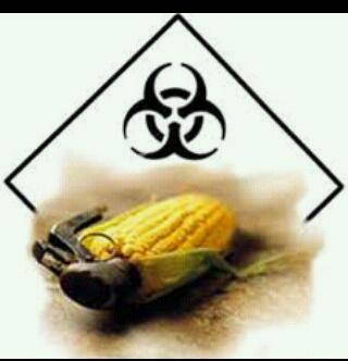 Monsanto is poisoning our food supply.  We are dedicated to teaching how to live GMO-free through awareness #Aquaponics #Beekeeping #NoGMO #LabelIt #EarthFirst