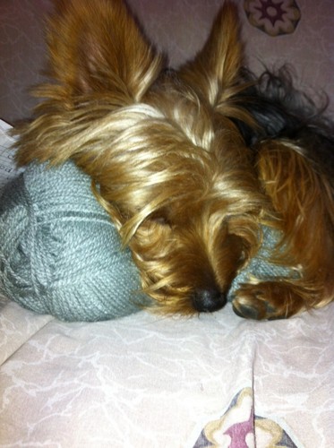 MinePrez's profile picture. Psicóloga y Profesora