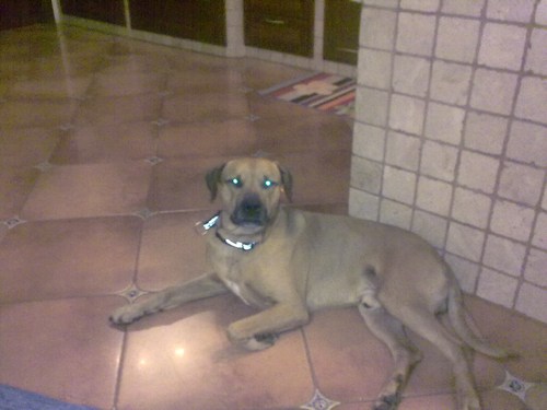 simonemanchisi's profile picture. 