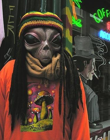 dreadlockura's profile picture. Me dedico a hacer Dreadlocks, trenzas y twist artesanalmente por cualquier rinconcete del mundo.. ¡estate atento! ^^. Contactar por privado.