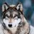 skiptate's profile image