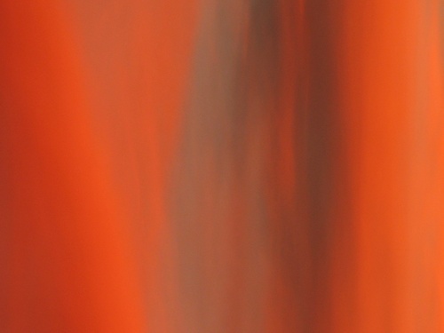 towardsatori's profile picture. sometimes i rhyme slow, sometimes i rhyme quick