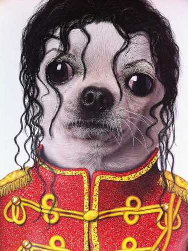 mazinger041076's profile picture. Antiamlo🤬🤬🤬