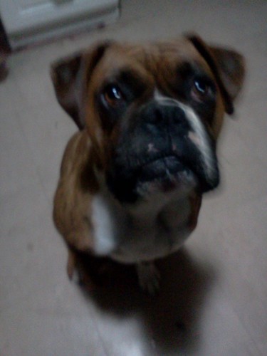 sp_mi's profile picture. 