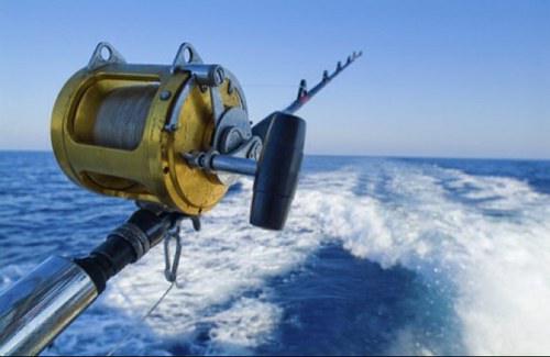 noey305's profile picture. 