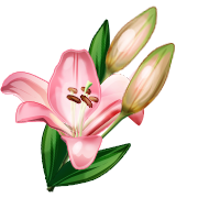 shellyj29's profile picture. I am a redhead