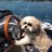 TankerSteph's profile image