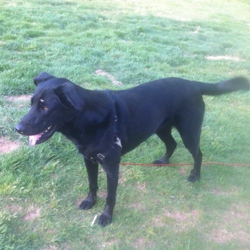 JeremyJBelcher's profile picture. I like nature, especially waterfalls. Play a bass in the bassment, mostly 311, Muse, and Pink Floyd. And I love New York Yankees baseball.