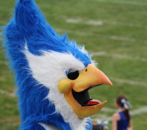 WPStuco's profile picture. West Platte High School Student Council in Weston, MO--serving our school and our community!