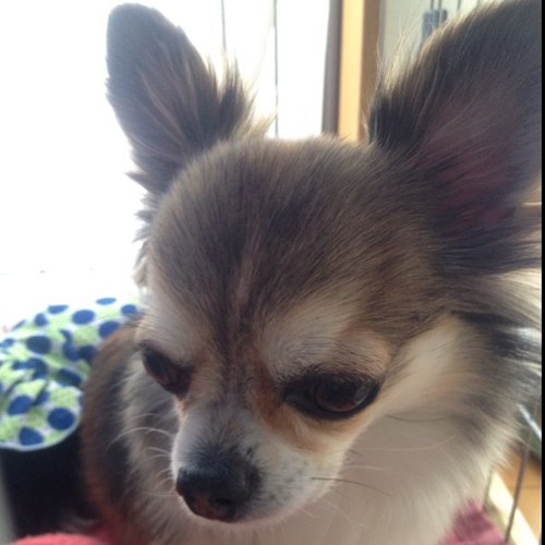 にしん☻スマイル☻