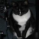 Sue Werner - @ihatesuze - Twitter