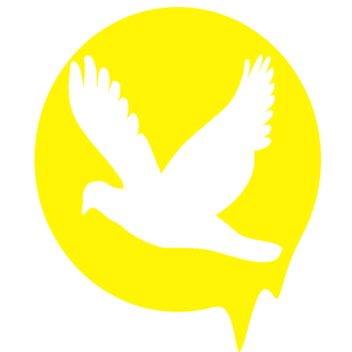 Foundation FLY is a non-profit organization whose mission is to empower youth to aim for the best in their education, style, and goals--empowering FLY.