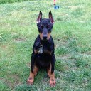 Richard Mort - @asphaltbc - Twitter