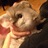 kntksnic's profile image