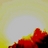 Rocket78213's profile image