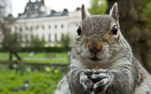 ISIvince's profile picture. Entrepreneur, IDPF member, innovation addict