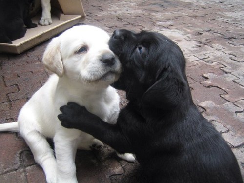 ssuperelenita's profile picture. 