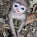 Steffi - @BubblesSmith1 - Twitter