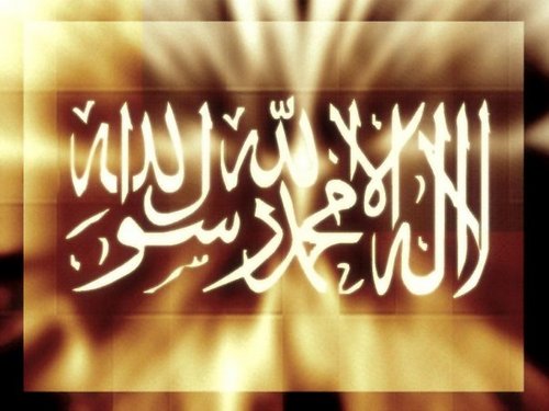 mohamdnazal's profile picture. اذكرو الله سبحان الله وبحمده