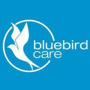 bluebirdTandC's profile picture. 