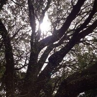 jasmine43 (@marikojasmine1) 's Twitter Profile Photo