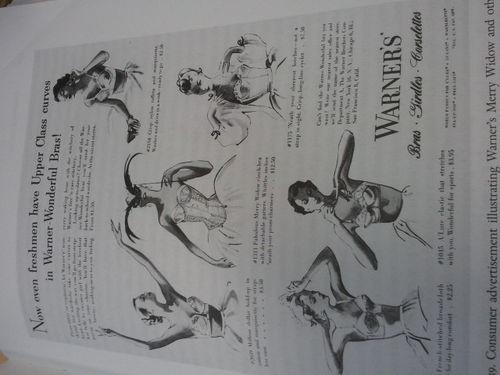 SheedaLingerie's profile picture. Beautiful and well fitting lingerie brings out innermost beauty, mood enhancing and increase confidence.