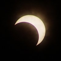 キラキラキラ子 (@bohrmagneton) 's Twitter Profile