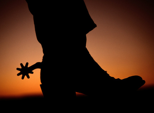 jasoncurtis0124's profile picture. just listening...