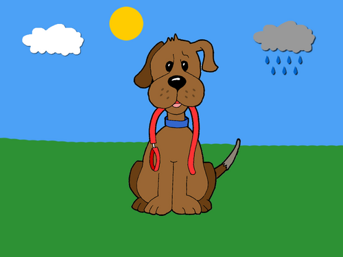 Dog Walker par excellence, in and around the Tees Valley