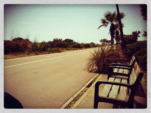 anabelds22's profile picture. A través del Yoga conecta tu cuerpo, mente y espíritu hacia un nivel superior de bienestar y autoconocimiento. ☀️🧘‍♀️🌙 🕉️